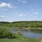 115fa1757b235f811ed1b0435c346d4d