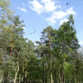 130b793b99e95049b5d998f9f23f771c