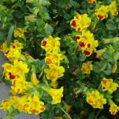 13aff9ce013cb98b4567ad66b4e5b836