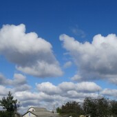 15cd1114e95d08013c5cd0055cbfb467