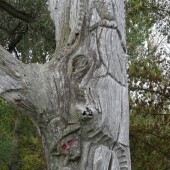 1950cc5caeeb18b3f9c0b6f1788452c2