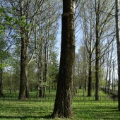 1ecb7cdebb506158528f8b53619e9393