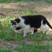 20186584eb070c9112ef4769dc45d326