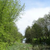 2022627786e1c814b385ff953b73f75d