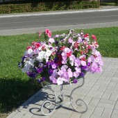 27991c372087cdf1569cb71525d973b8