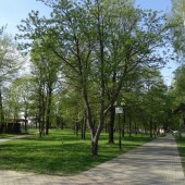 2ae1b9b7680cf26a0a8cf974d2555a9e