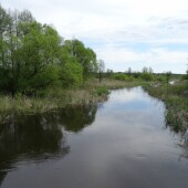 2b42be36f8567d386a7018da224a1cab