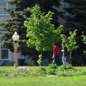 2c99dc7a5f85bf5bd3ecb0c18413e949