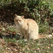 2dd92f1314973670dd77226ea7b5269f