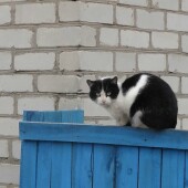 310043fd125729cc5bf4da799cab827f