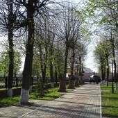 31119e568215b7979a2d1e06dce4d322