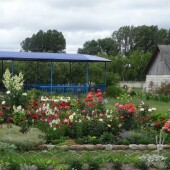 33229550aed6db833a7178a0628a0528