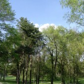 342c21f48dcbb972542a336bbda7bc7c