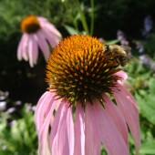 359f800c205b704e4569860dab7fcc50