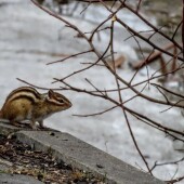 377a26a8bce324507abd732056ae1f25