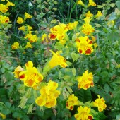 37a8fd63f255dabda38f1ec1b5957223