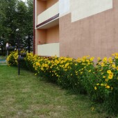 3b0eb530b06c35e8cb276a1a07af8f57