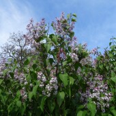 3d342faa0386738cd5532de6b2be8354