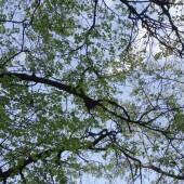 4015d494ff678993d70630e271716995