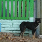 44284696529314b7655f5222233e1034