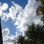 44b743963238ccdd47b351160128e6c4