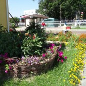 45330ddb087c0bd473386abfc7c37a76