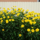 4534b7a932e151ff152a34343ee26abd