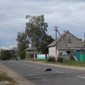 4551a07f69055019415bef80eb23b43c