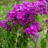 46158cb305780bdca3f44841218fa9c5