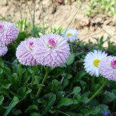 4868c68070c8da0f0cb6af99af3f93b9