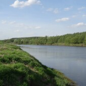 4b106d747474e53eb313cc1363872607