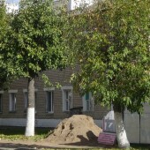 53a6650e9efea116b4d29e167a90d68a