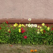 53ae9997e6796fd932638ed9feda120a