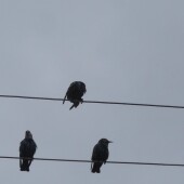 57e1ad2905b359c9b682c8a27ffcbfbc