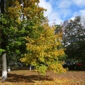 5ba980bc01cb96dbe17d8a5e6f92c2b0