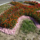 5c755d2a1400d08c84b997ef151fc584