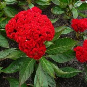 5ccfea3396437a57a064bf17ebef870f