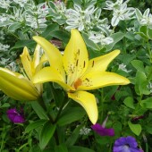 5ee45a2aeb7a625db8ff37104a646546