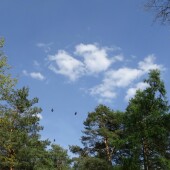 5f64778c343f9ded80f308a36f1533b8