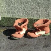 67528cd5d6be582a3fe6446ad2990bcf