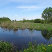 6a0e25b4a289c4bb07fdf27cc4bc2a3a