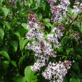 6b053294aa25c144788361fef9741eef