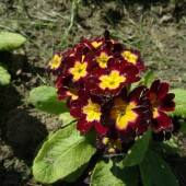 6cf10e2f25f0c31322b862709e3687fe