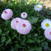 717619edecddc491ad2b3de172a6efb6