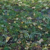 7375b336c05d2d68dd0177d460fb1f54