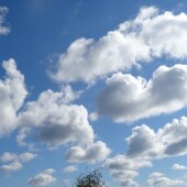 7413c35f0f9564a07e66cfa23ecd0a00