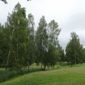 74edd7db9c711f484484f907abbba3e2