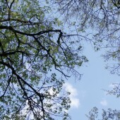 76f2b65d3ba164cbd57338e086f0a909