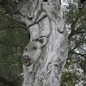 77f5dad047c094be84040d738809a78f