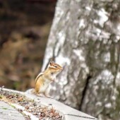 7a52593d50818afcea7b465efc5a072f